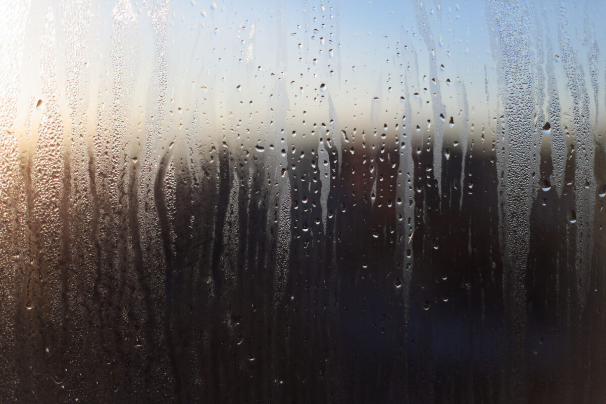 Condensation on the inside of a window.
